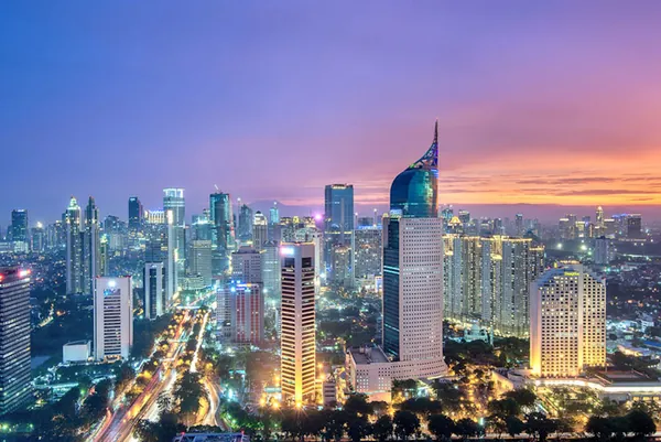 Air Ambulance and Medical Evacuation Services in Indonesia